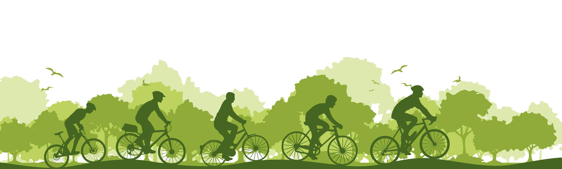 Fahrradtouren mit Raphael Tours in Dresden und Umgebung